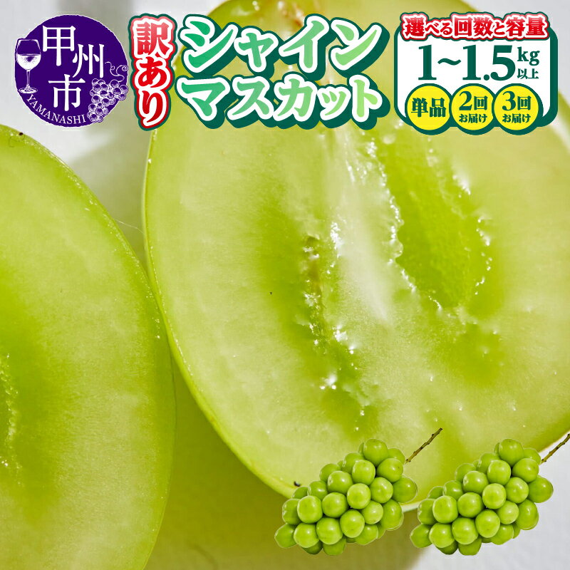【ふるさと納税】 シャインマスカット 訳あり 選べる 容量 1kg 1.5kg 2～6房 果物 定期便 回数 2回 3回 期間限定 2025年発送 8月 9月 10月 発送 冷蔵 クール便 山梨県 甲州市 くだもの フルーツ 葡萄 ぶどう 産地直送 甘い 果実 新鮮 フードロス 人気 社員マスカット (AGB)