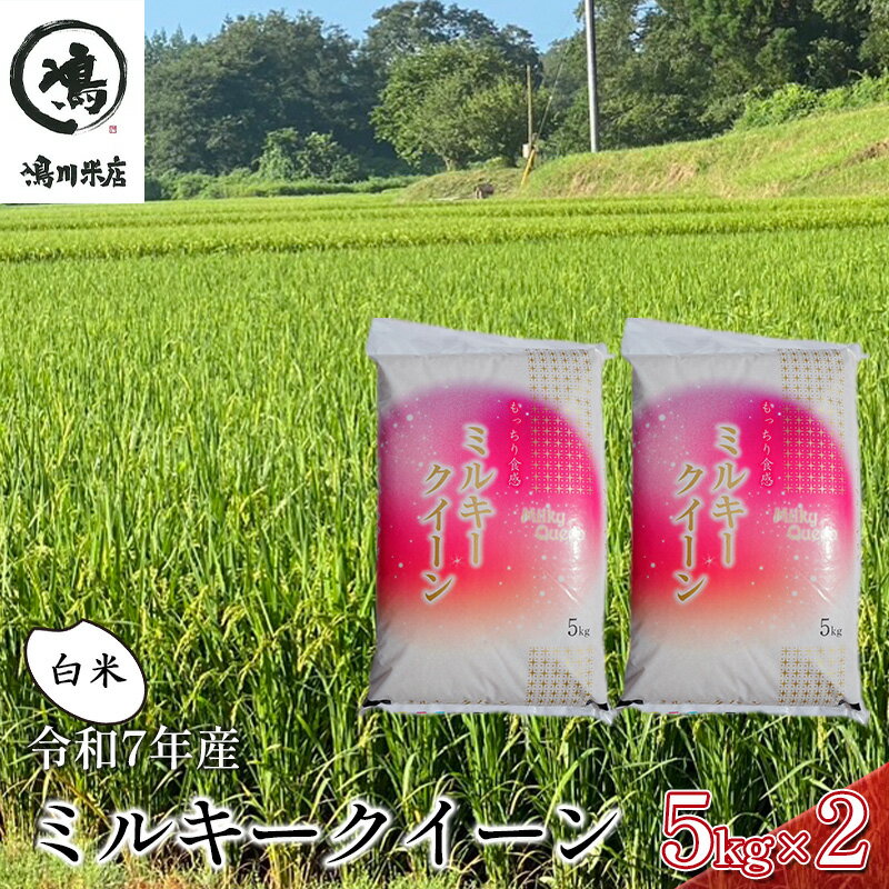 【ふるさと納税】新米　令和7年 ミルキークイーン 白米 10kg（5kg×2）特別栽培米【お米 粘り もっちり おにぎり お弁当】 千葉県