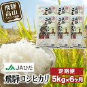 【ふるさと納税】【定期便 6ヶ月】（全6回）令和6年度産 飛騨コシヒカリ 白米 5kg | こしひかり 飛騨こしひかり お米 コメ 精米 飛騨産 飛騨高山 JAひだ GS100