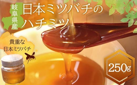 岐阜県産 日本ミツバチのハチミツ 250g ハチミツ 蜂蜜 調味料 はちみつ 加工品 食品 岐阜県 坂祝町 さかほぎ F6M-070