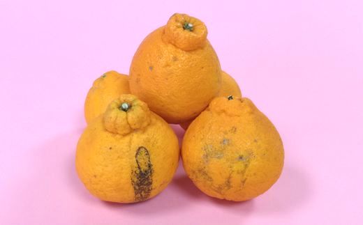 他の品種より皮が弱いため黒いしみのようなヤケが出やすいですが、中身は問題ありません。