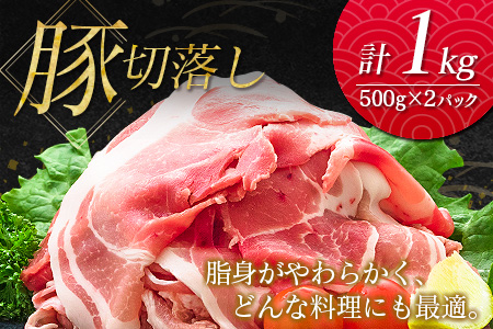 南国みやざき3kgセット＜豚肉1kg+鶏肉2kg＞※60日以内に出荷【A165】