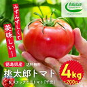 【ふるさと納税】009-101 桃太郎トマト 4kg スナックミニトマト千恋 200g ※2024年11月中旬～2025年6月上旬頃に順次発送予定 ※離島への配送不可