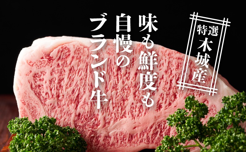 JAこゆ牛 特選木城産 サーロイン 750g 焼肉用 K56_0002