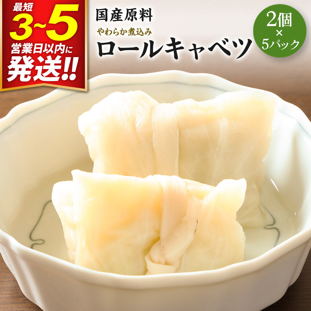 【ふるさと納税】国産原料 やわらか煮込みロールキャベツ 2個×5パック