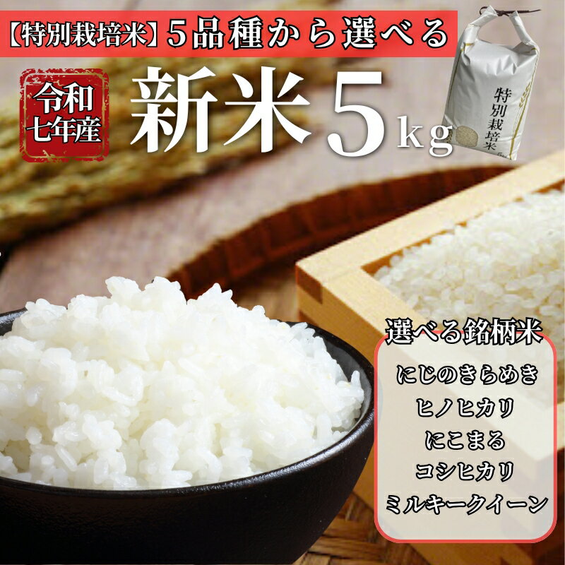 【ふるさと納税】お米 令和7年産 特別栽培米 新米 5kg【選べる品種】にじのきらめき ヒノヒカリ にこまる コシヒカリ ミルキークイーン 先行予約 【2025年10月～11月以降発送】 精米 米 こめ コメ 白米 ごはん ライス 愛媛 伊予市