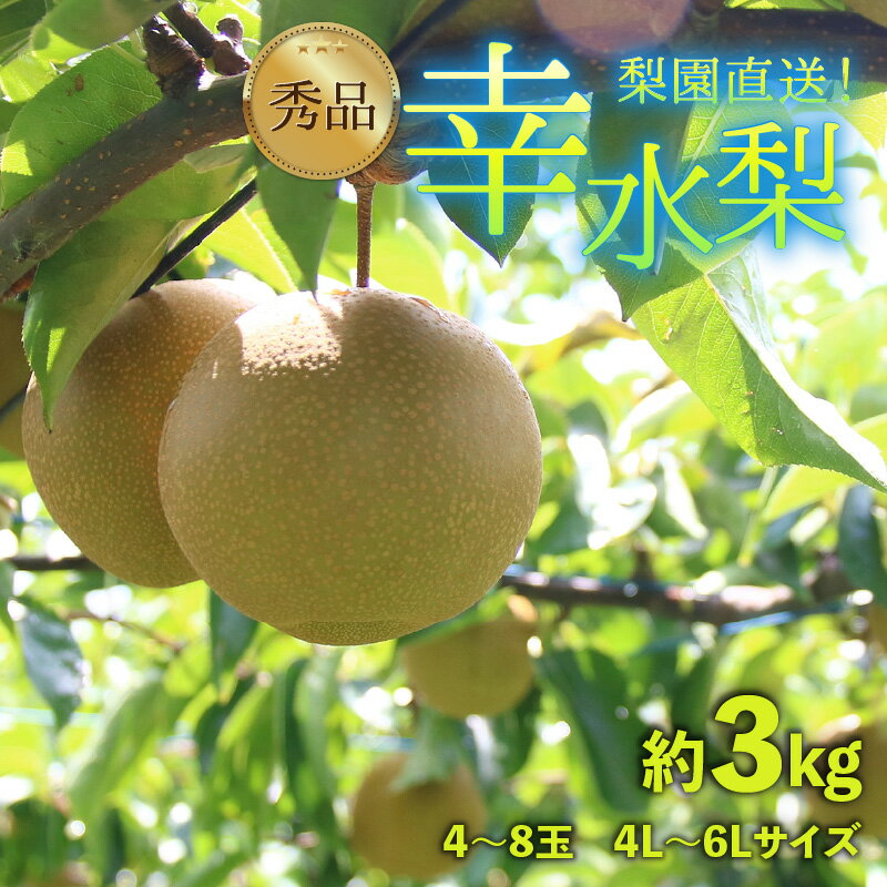 【ふるさと納税】【先行予約】上野梨園の幸水梨 約3kg 4L～6L【秀品】《数量限定》梨園直送！ / 期間限定 果物 フルーツ 農家直送 シャキシャキ もぎたて 旬 お取り寄せ ※2027年8月下旬より順次発送