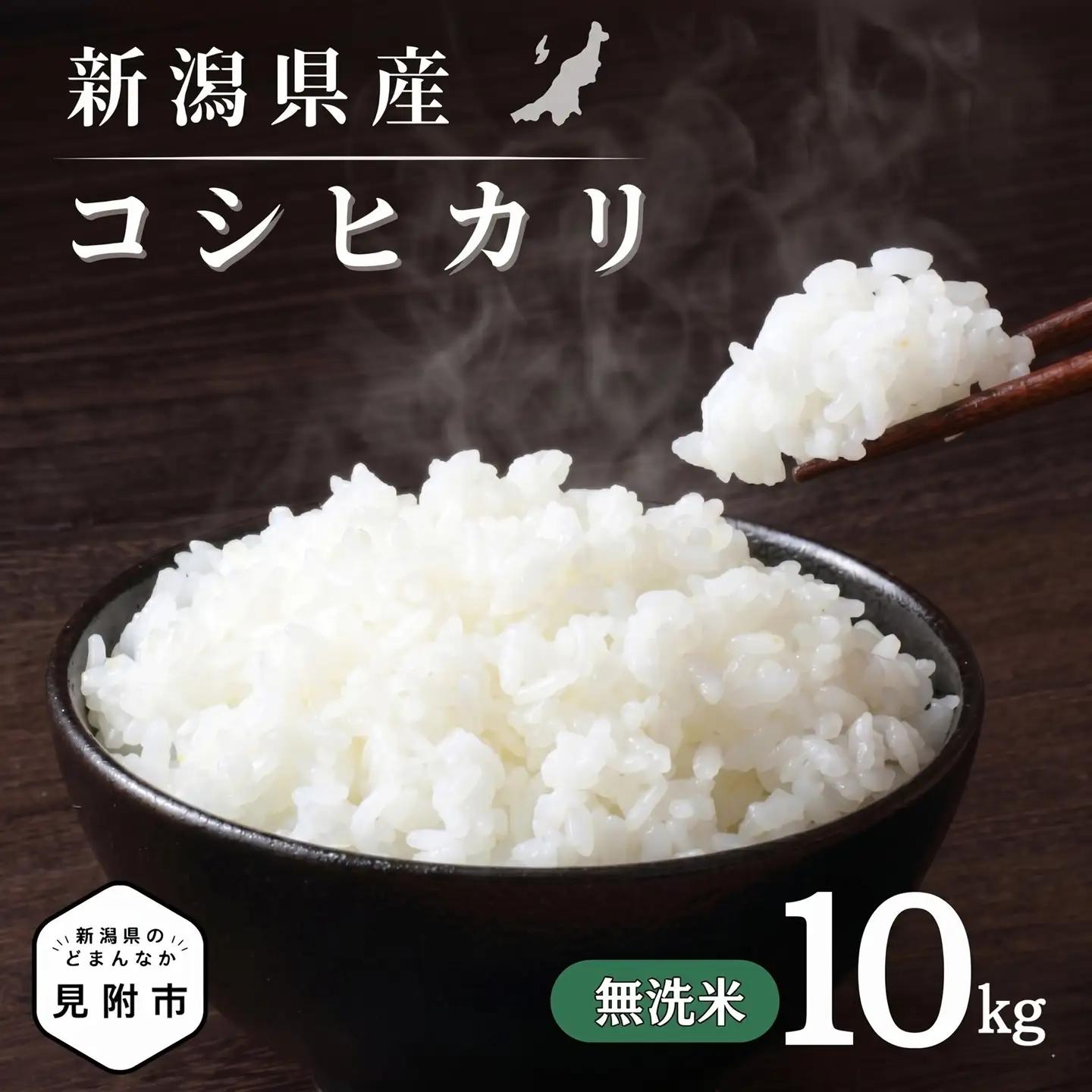 米【令和7年産】コシヒカリ 無洗米10kg