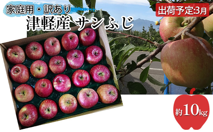 3月 津軽産 家庭用 サンふじ 約10kg【訳あり】【青森りんご・原正アップル】