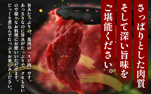 【 定期便 3回 】 熊本県 馬スジ 1kg（ 500g×2 ） × 3回 【 合計 3kg 】 【 馬肉 すじ肉 大容量 本場 熊本県 馬 赤身 煮込み カレー シチュー 冷凍 真空 熊本 肥育 ヘ