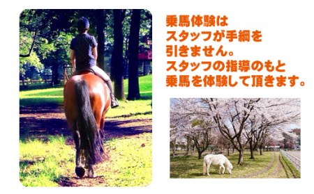 乗馬体験 1回分 チケット 【馬っこパーク・いわて】／ ふれあい 乗馬 体験 馬 ホース ホースセラピー 動物 アニマル アニマルセラピー セラピー 癒し 体験チケット 観光 遊び あそび お出掛け 