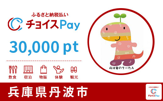 
丹波市チョイスPay 30,000pt（1pt＝1円）【会員限定のお礼の品】
