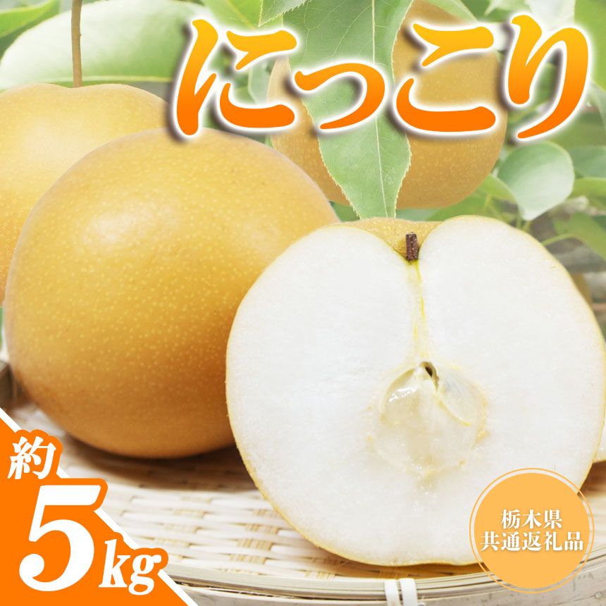 【ふるさと納税】栃木県産 なし 梨 にっこり 5kg 楽天限定 | お取り寄せ 果物 くだもの フルーツ 梨 なし プレゼント ご褒美 甘い 贈答 ナシ 栃木県 真岡市 送料無料 栃木県共通返礼品