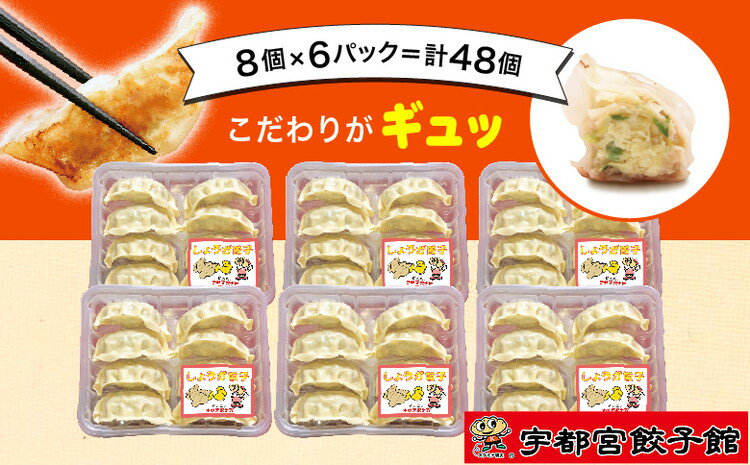 【ふるさと納税】「宇都宮餃子館」の しょうが餃子 8個入り×6パック(計48個)【 餃子 冷凍 ぎょうざ 栃木県 宇都宮市 】※配送不可地域：離島