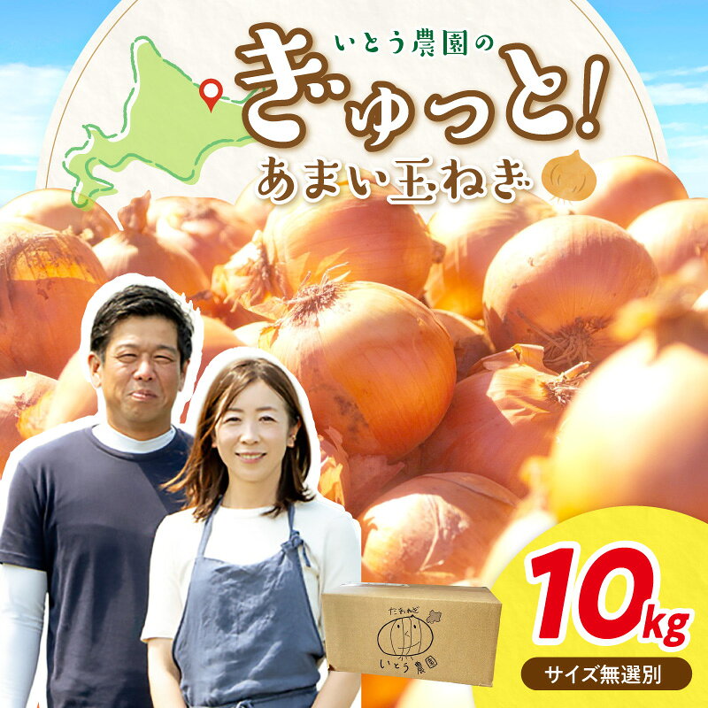 【ふるさと納税】【10月15日受付終了】【予約：2026年9月下旬から順次発送】いとう農園の玉ねぎ 10kg ( 玉葱 タマネギ 野菜 期間限定 数量限定 10キロ 秋 旬 )