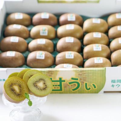 ふるさと納税 久留米市 【2025年10月中旬より順次発送】福岡限定!キウイ「甘うぃ(あまうぃ)」約3kg箱(久留米市) |  | 01