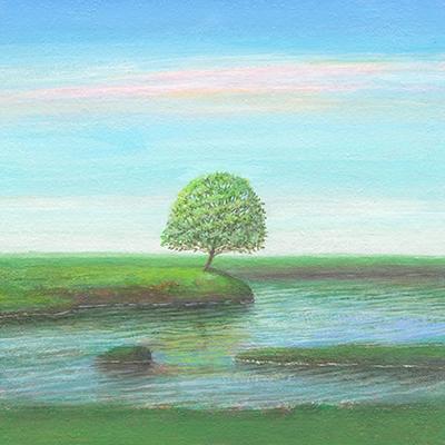 ふるさと納税 茨木市 水辺の木Sq |  | 01