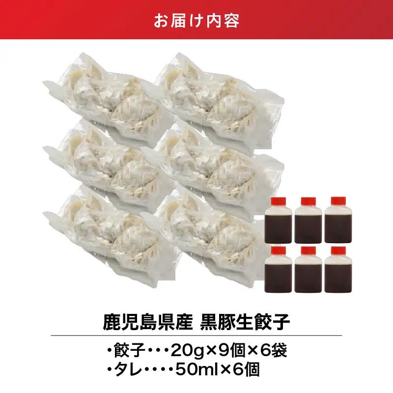 1609-1 鹿児島県産 黒豚生餃子 （20g×9個×6袋） KN065-001-01 肉 豚肉 餃子 惣菜 総菜