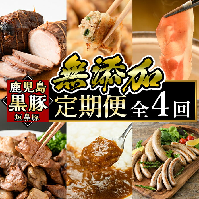 【ふるさと納税】鹿児島黒豚「短鼻豚」定期便(4ヶ月コース)豚肉しゃぶしゃぶ用・炭火焼肉・豚モモ肉、餃子、ハム・ソーセージなど詰め合わせた黒豚肉定期便！国産 鹿児島 肉 豚 豚肉 黒豚 もも モモ スライス 焼肉 総菜 ぎょうざ ウインナー セット【鹿児島ますや】