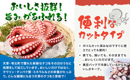 タコ ボイル カット 500g ≪30日以内に出荷予定(土日祝除く) ≫｜タコタコタコ 高橋商店 【配送不可地域あり】