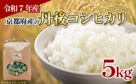 【ふるなびWEEK対象】【令和7年産　新米】丹後コシヒカリ 5kg×1袋（計5kg）精米 FN-Limited-PR