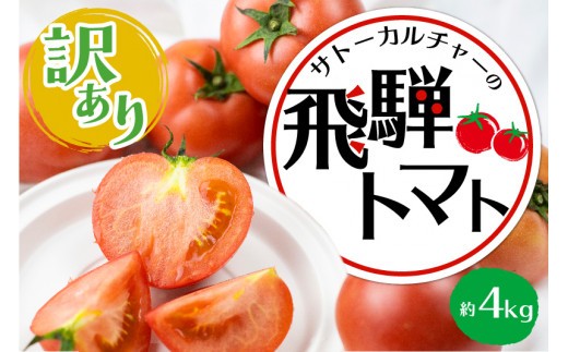 《令和8年産先行予約受付中》【訳あり】飛騨トマト 約4kg 6月下旬～11月にかけて収穫次第順次発送 とまと トマト 麗月 訳あり 不揃い 傷 キズ 玉数・大きさおまかせ 15～28玉 サトーカルチャー syun23