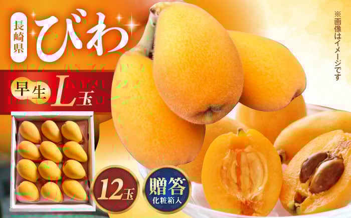 
            【申し込みは5/11まで】長崎県産ハウスびわ(早生) 500g L玉 贈答用  長崎県/森保農園 [42AACO001]
          