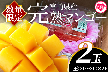 ＜先行予約 【期間数量限定】2024年5月発送 宮崎県産完熟マンゴー2L～3L2玉パック入り＞【MI232-yk】【みまたんよかもん協同組合】