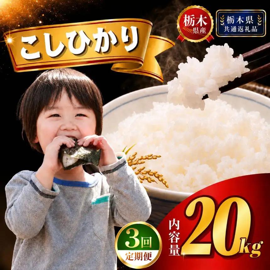 【新米】定期便3回 特Aこしひかり 20kg(5kg×4袋)【栃木県共通返礼品 栃木県産】AB | 栃木県 下野市