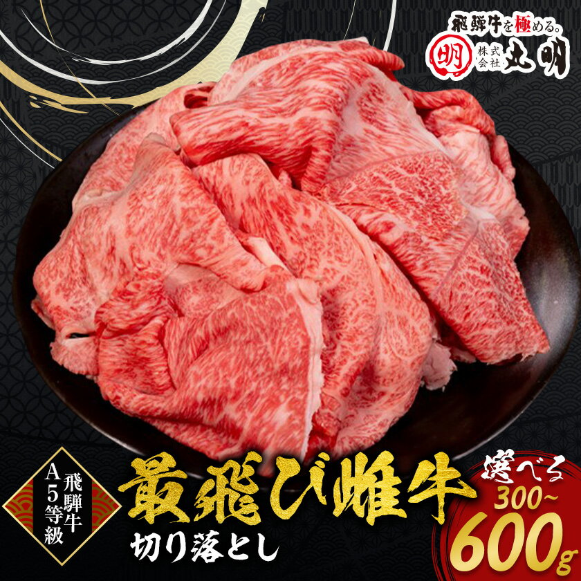 【ふるさと納税】【最飛び雌牛】飛騨牛A5等級切り落とし　300g【配送不可地域：離島】【1520141】