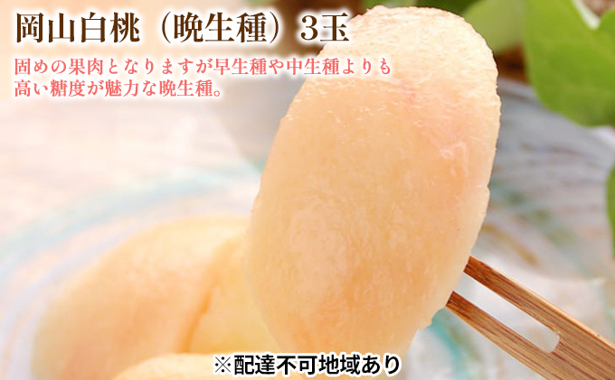 固めの 桃 2026年 先行予約 白桃 晩生種 3玉 合計約900g （1玉約300g） もも モモ 岡山 国産 フルーツ 果物 ギフト 桃茂実苑