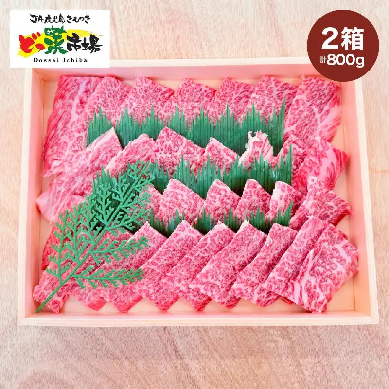 2881 A5ランク鹿児島産黒毛和牛バラカルビ焼肉木箱 800g 400g×2箱 KN010-005-02 黒毛和牛 和牛 牛肉 肉 国産 冷凍 a5ランク バラ カルビ セット 詰め合わせ 鹿屋市きもつき農業協同組合 ふるさと納税 鹿児島 鹿屋市 おすすめ ランキング プレゼント ギフト