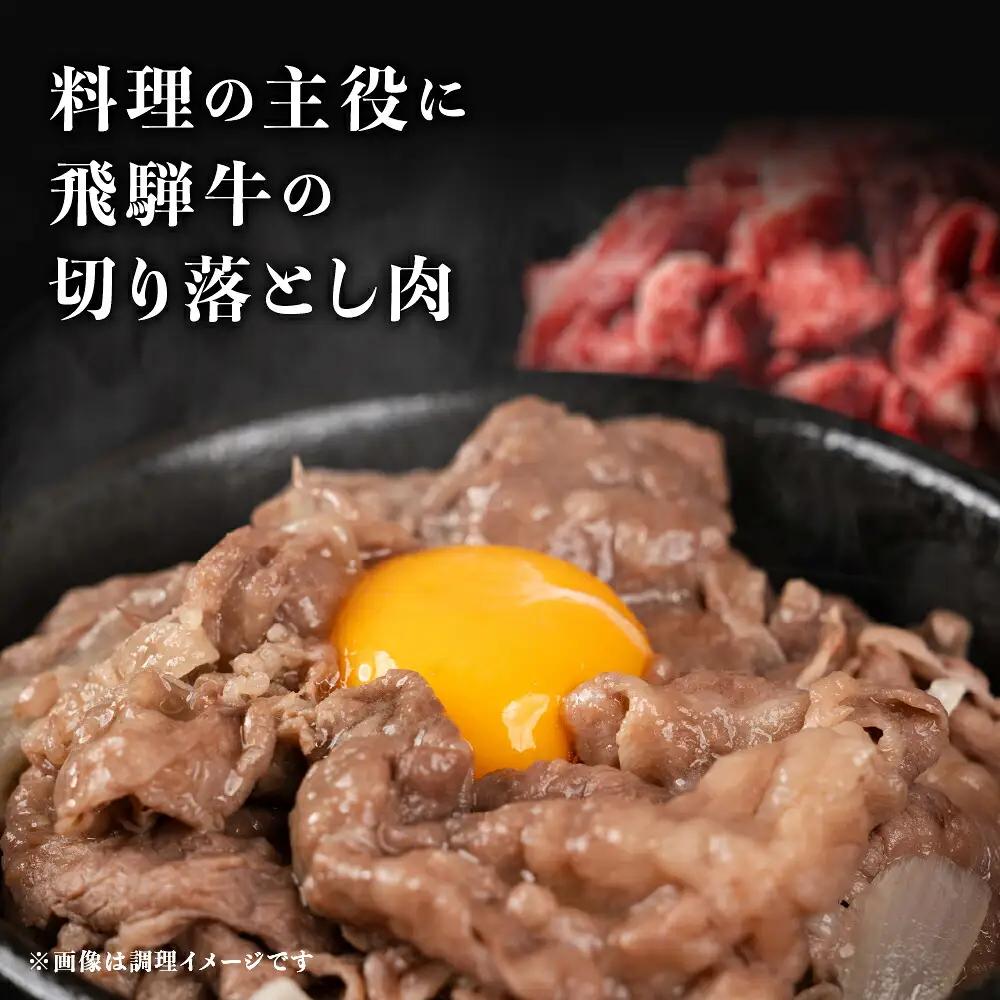 飛騨牛 牛肉 切り落とし 1kg 小分け（250g×4p）  [s933] 切り落とし