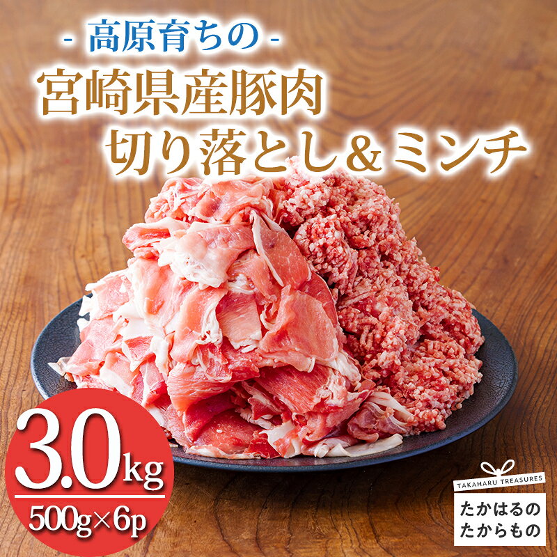 【ふるさと納税】国産 豚肉切り落とし＆豚肉ミンチ 豚肉2種詰め合わせセット合計3000g アレンジ色々 お弁当 しゃぶしゃぶ ハンバーグ 肉巻き 宮崎県 高原町 九州産 送料無料 故郷納税 10000円 1万円 一万円