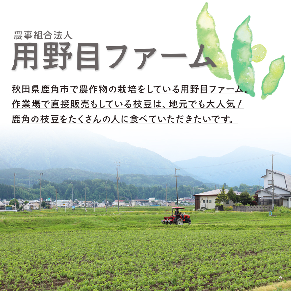《先行予約》鹿角市産 特別栽培 枝豆 約5kg（250g×20袋）●2025年8月中旬発送開始【用野目ファーム】