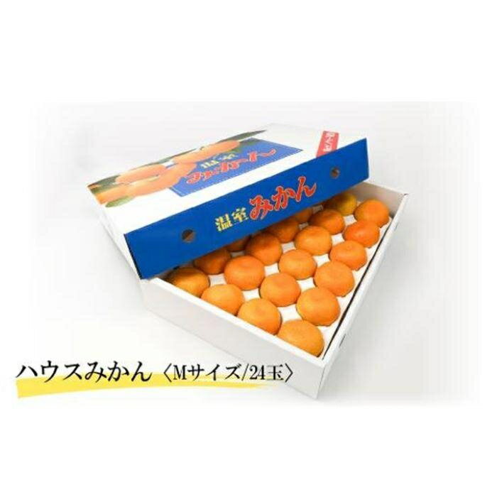 【ふるさと納税】 【期間限定】 【6月下旬から発送】　2025年6月末より発送 ハウスみかん（温室みかん・ハウス栽培） 予約販売 みかん 柑橘 蜜柑 ハウスみかん