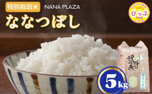 
                  令和7年産 特別栽培米 ななつぼし 5kg【ナナプラザ】米 お米 北海道産 北海道米 特Aランク 国産 白米 コメ 北海道 比布町 ぴっぷ 1021-003
                