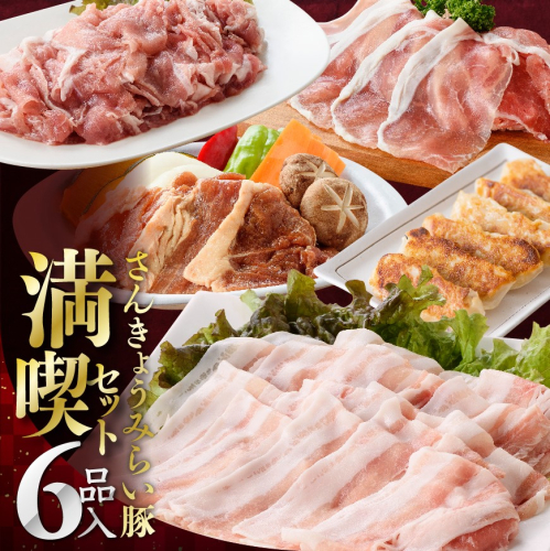 小分けで使いやすい！さんきょうみらい豚満喫セット 【 しゃぶしゃぶ 切り落とし ウデ モモ 鉄板焼 餃子 生ハム切り落とし ハンバーグ 】