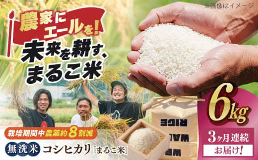 【全3回定期便】無洗米 コシヒカリ 滋賀県西浅井町産「まるこ米」6kg（2kg×3）　滋賀県長浜市/ONE SLASH 株式会社[AQCZ021]  米 お米 白米 無洗米 こしひかり 6kg 地域 応援 定期便