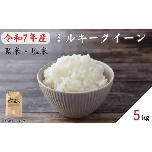 《 令和7年産 》黒米・塩米（ミルキークイーン）約5kg ／ 米 お米 こめ コメ 精米 白米 令和7年 ミルキークイーン 5kg 産地直送