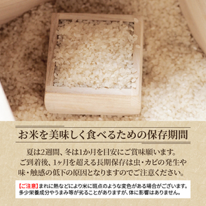 新米 令和8年産 こしひかり 白米 2kg 2026年産