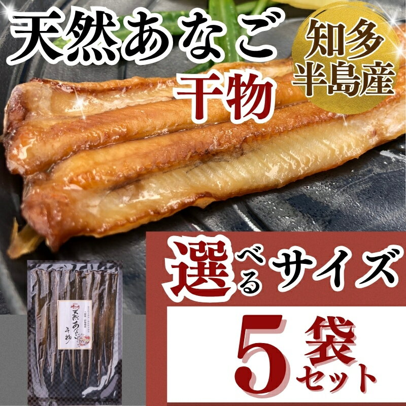 【ふるさと納税】 容量 選べる あなご 干物 5袋セット 天然 穴子 岬だより ( アナゴ ひもの 小分け 便利 愛知県 南知多町 人気 おすすめ