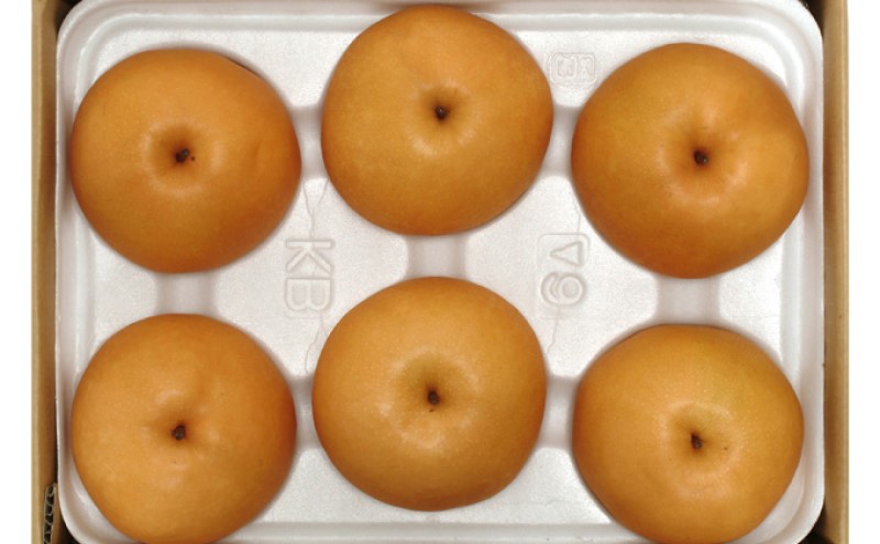 梨 2025年先行予約 岡山県産 新高梨 約3kg 4～6玉 お届け 10月中旬～11月中旬