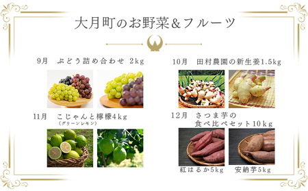 【定期便 10回】旬のお野菜 フルーツ セット 新鮮 産地直送 果物 健康志向 ギフト 柑橘 いちご