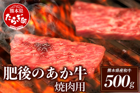 【あか牛】 熊本県産 肥後のあか牛 焼肉用 500g 【 あか牛 赤牛 お肉 肉 牛肉 焼肉 焼肉用 焼き肉 焼き肉用 冷凍 】 030-0376