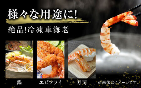 車海老 計500g（250g×2袋） / 佐賀県 / 株式会社拓水 伊万里クルマエビセンター [41AEAJ007]