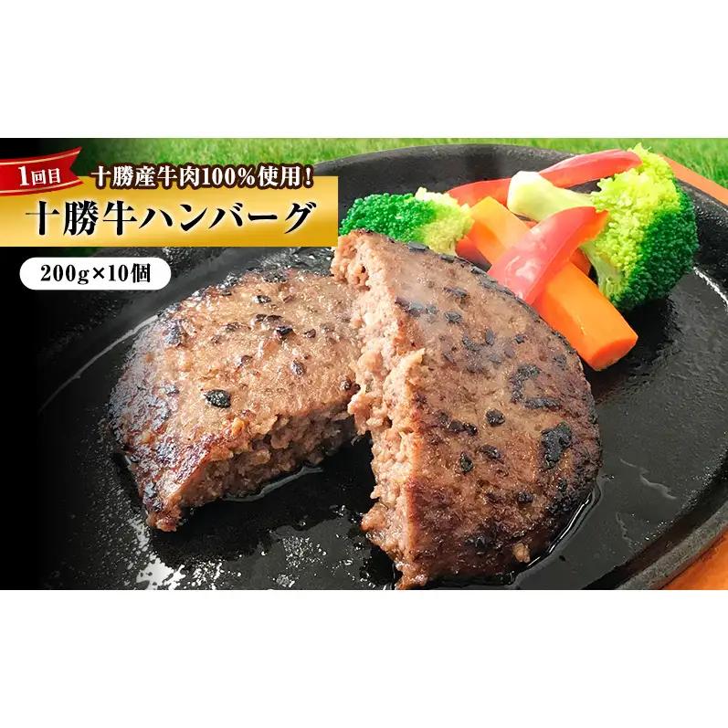 定期便 全3回 北海道産 豚肉 牛肉 セット ハンバーグ