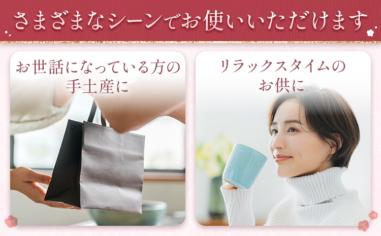 焼き菓子詰め合わせ 12個入り 株式会社玉利軒《30日以内に出荷予定(土日祝除く)》岡山県 笠岡市 焼き菓子 詰め合わせ お土産 和菓子 洋菓子 お菓子 スイーツ 手土産 送料無料