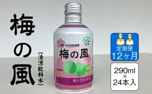 【定期便12ヶ月】梅の風（清涼飲料水）　290ml×24本入り【 神奈川県 山北町 】