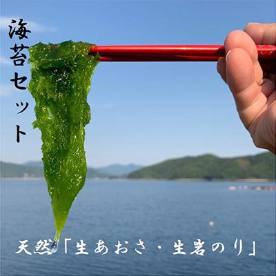 ふるさと納税 八幡浜市 希少・天然!島のりセット【C75-2】